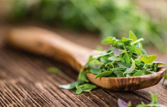 Single Extracts and Concentrate